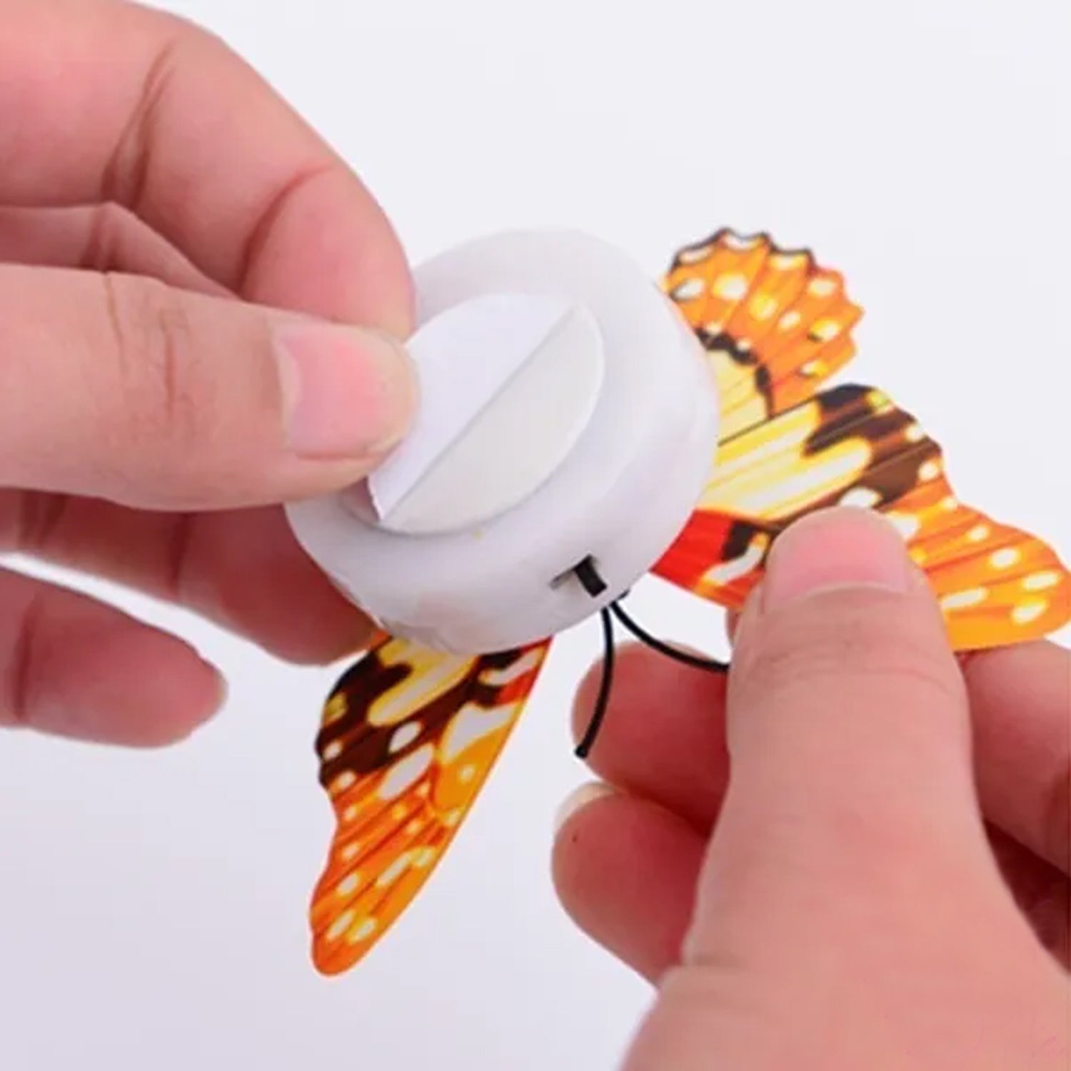 An elegant Butterfly 3D Night Lamp, perfect as an LED night light.