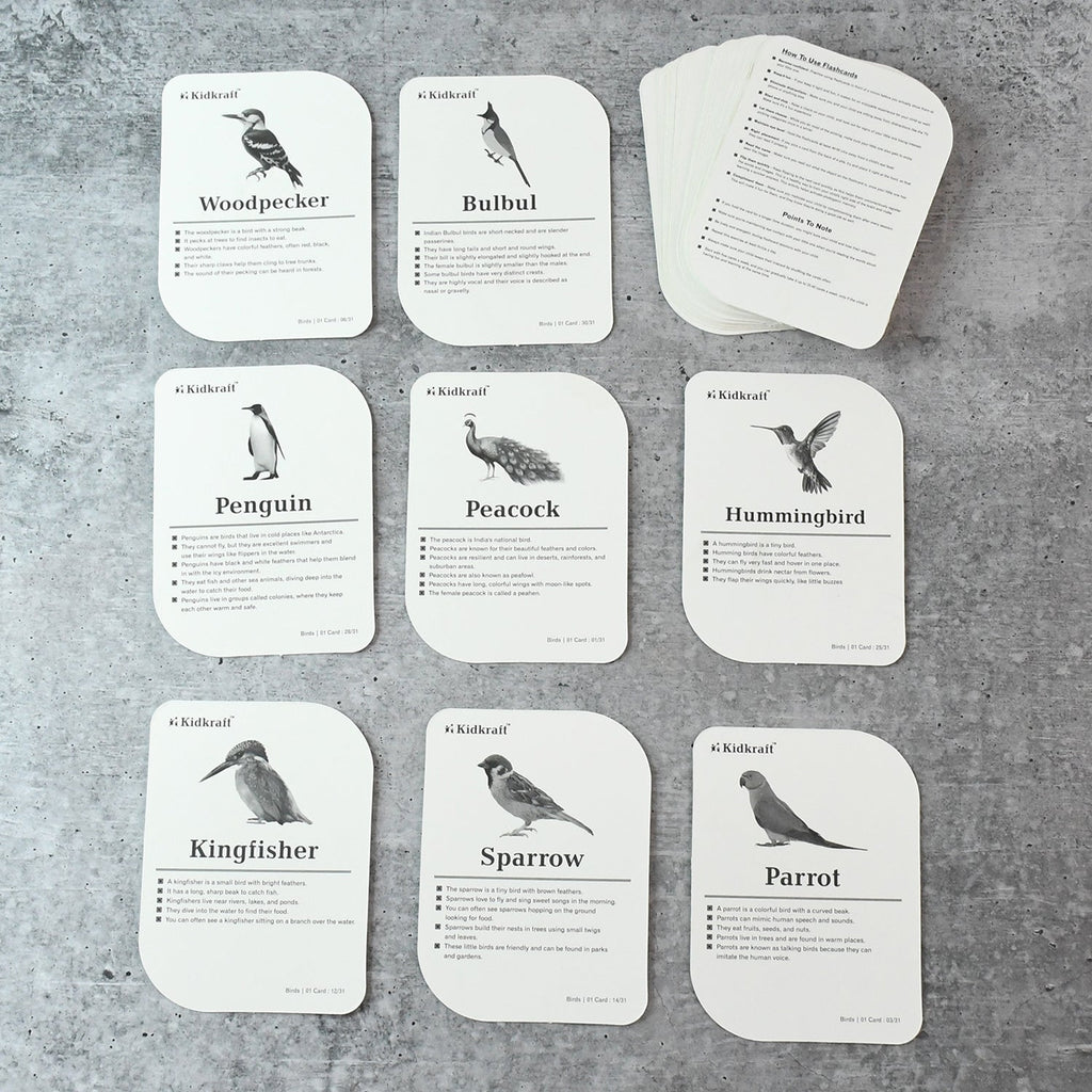 Montessori-aligned bird flashcards promoting sensory and cognitive learning for toddlers
