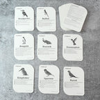 Montessori-aligned bird flashcards promoting sensory and cognitive learning for toddlers