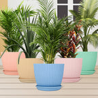 Single round plastic flower pot with a matching drainage tray, showcasing its modern design.