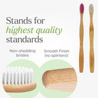 Toothbrush holder details in home bathroom setting