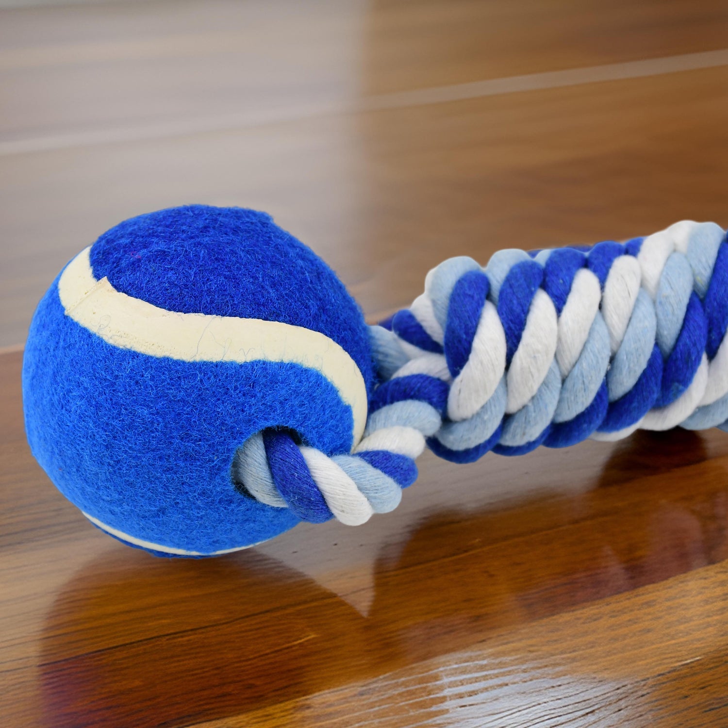 Dog happily playing tug-of-war with the two-way ball cotton rope toy.
