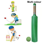 Full view of the yellow and blue plastic cricket bat and ball set for young players