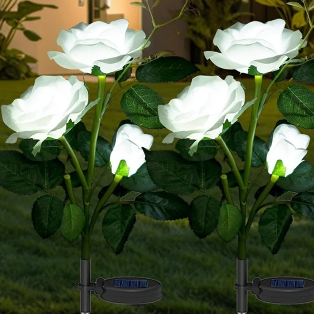 Solar garden decorative flower lights glowing in outdoor garden at night