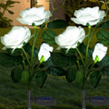 Solar garden decorative flower lights glowing in outdoor garden at night