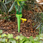 Plant watering spike in use with a plastic bottle in a potted plant.