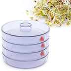 Individual trays of the Tidy Table 4-compartment sprout maker, designed for efficient air flow.