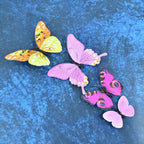 Assorted sizes of colorful 3D butterfly wall decals for decoration