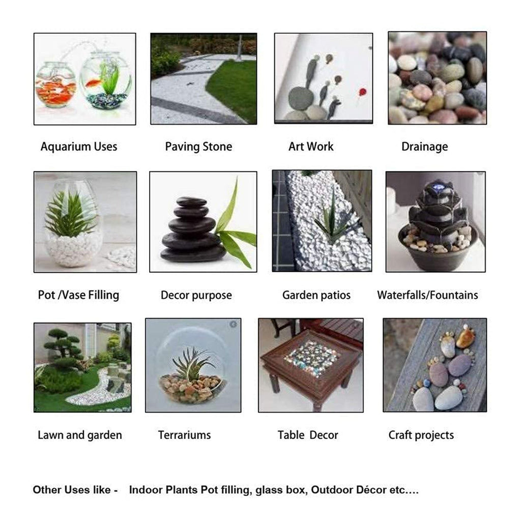 Multicolor decorative pebbles scattered beautifully in a lush garden environment.