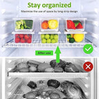 Colorful fruits organized in a clear 1500ML freezer storage container.