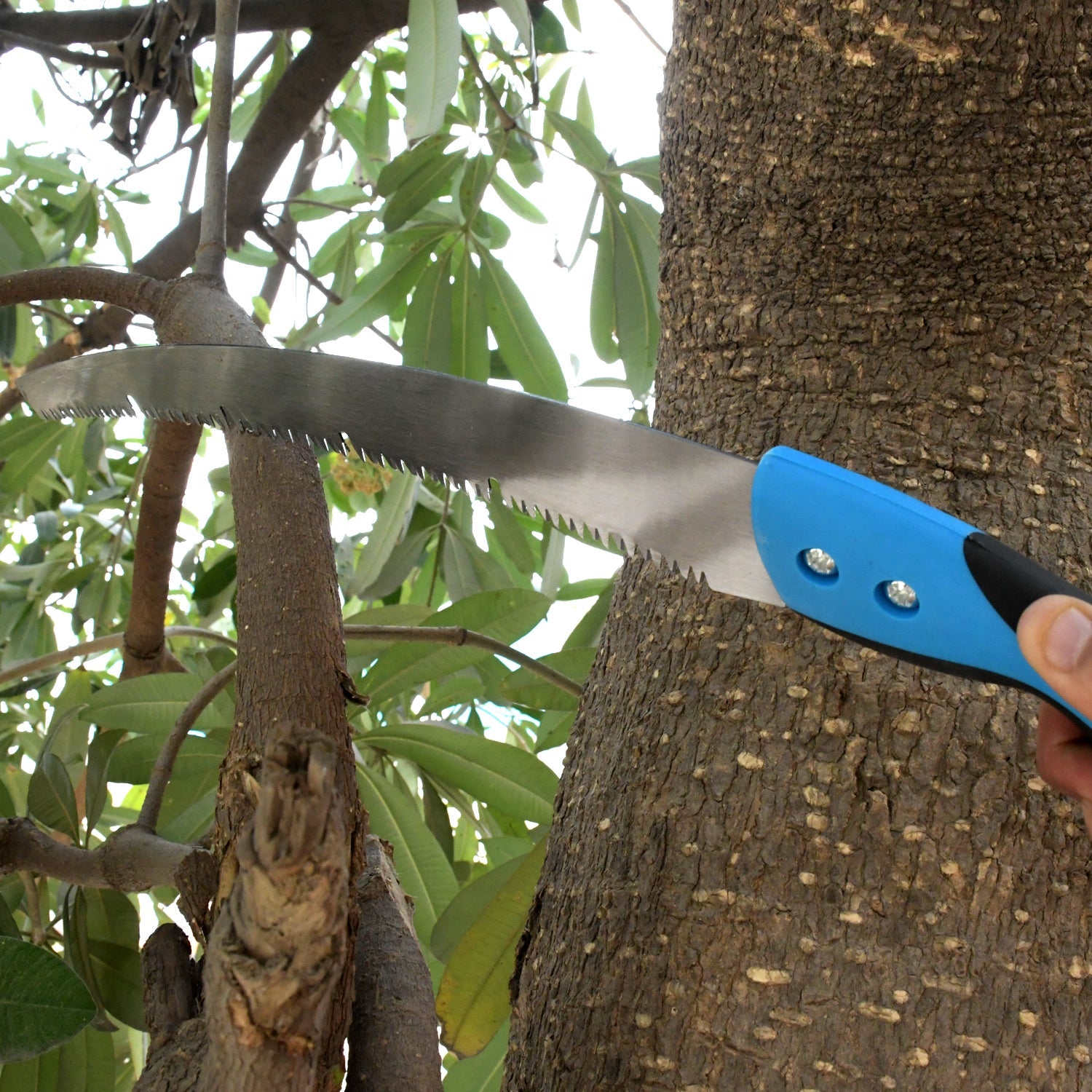 20-inch high carbon steel pruning saw with a protective cover for safe storage.
