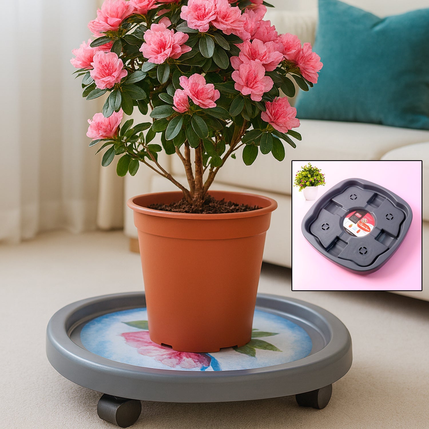 Gas cylinder trolley featuring 360 degree wheels for smooth movement