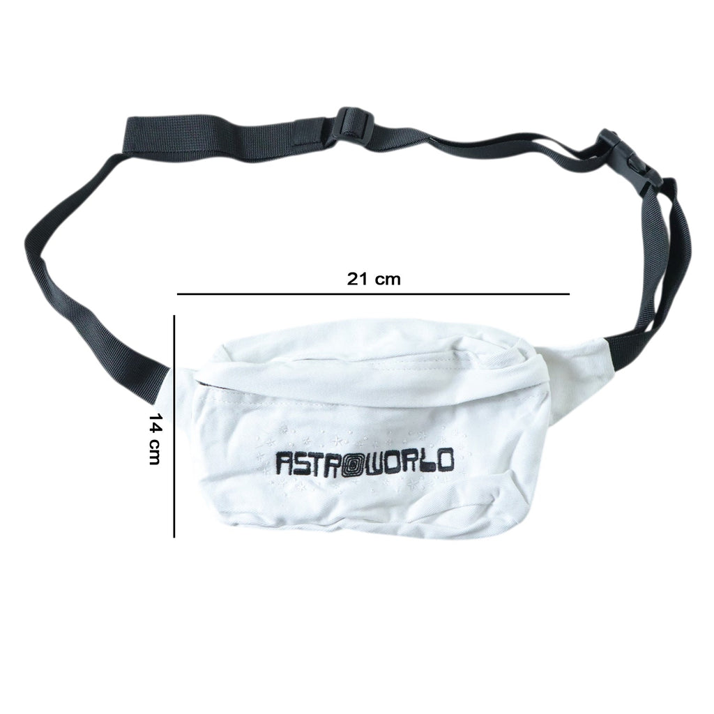 travel waist pouch with adjustable strap for convenience