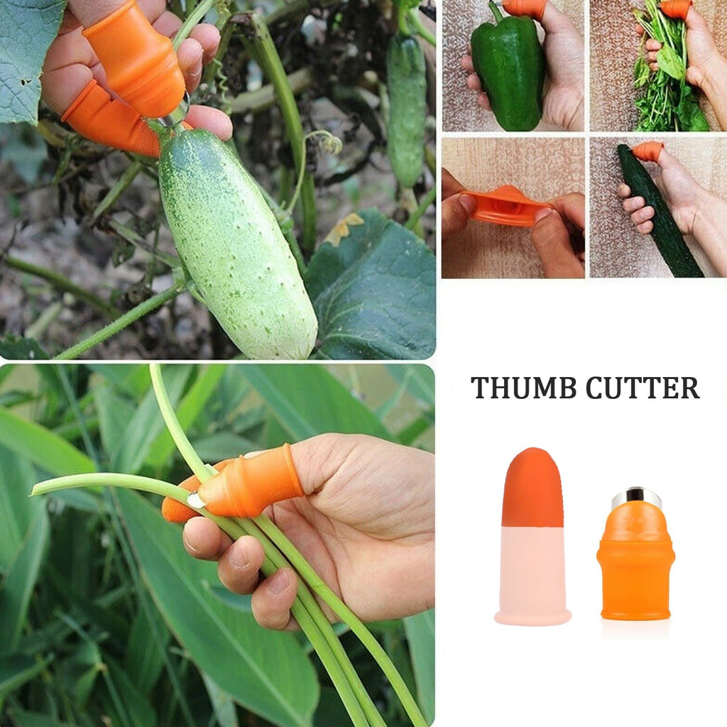 Overhead shot of the 5-piece Vegetable Thumb Cutter set, showcasing its versatile design.