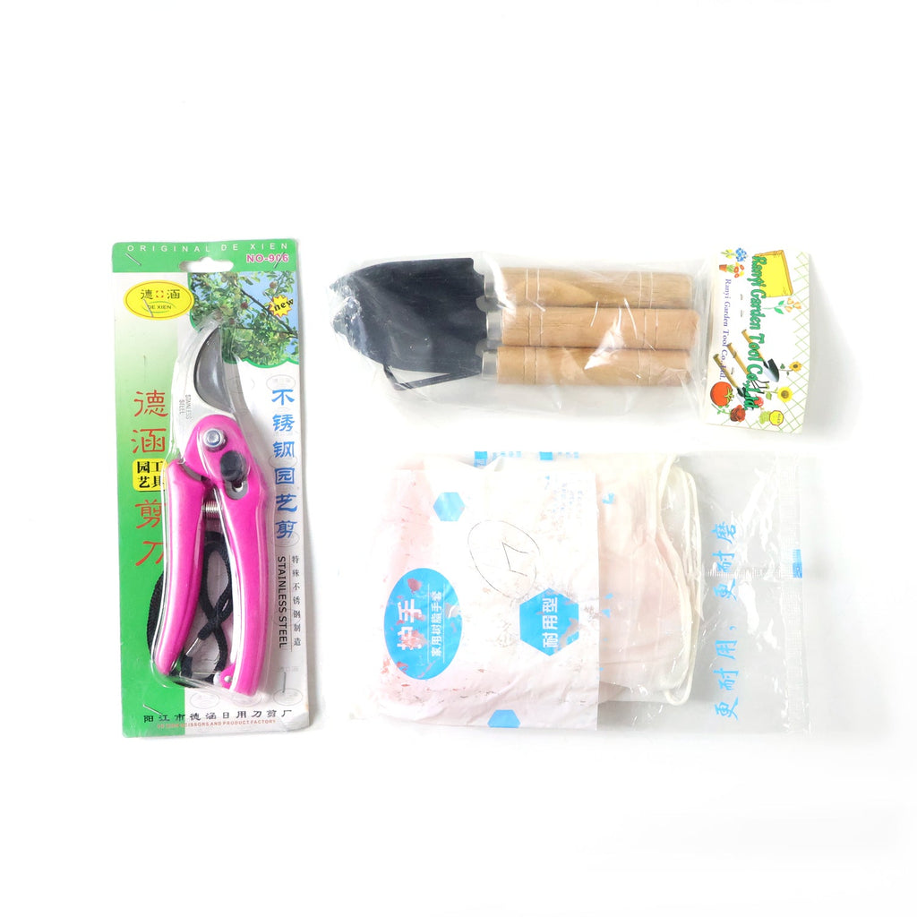 Compact gardening tool kit packaged in brown box