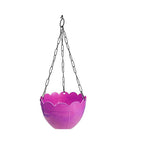 Plastic hanging flower pot with steel chain for garden or balcony.