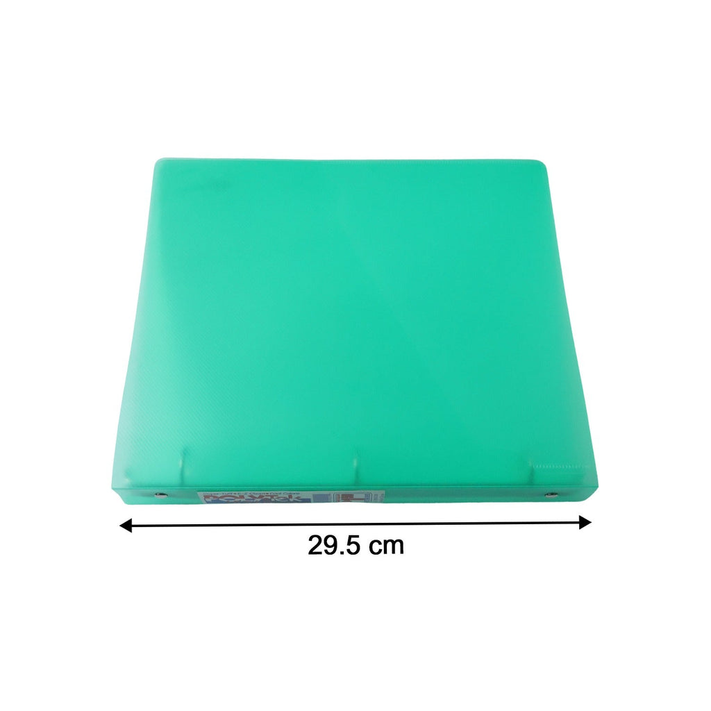 Transparent plastic document holder binder