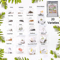 Close-up of vegetable and flower seeds mix from the 20 varieties combo for home gardening.