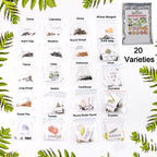 Close-up of vegetable and flower seeds mix from the 20 varieties combo for home gardening.