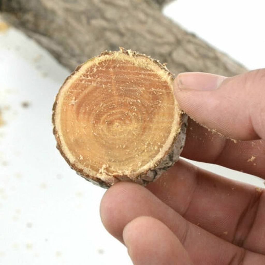 Close-up of the razor-sharp teeth on the tree pruning saw blade.