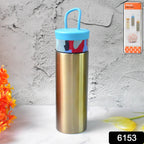 Thermo Vault insulated stainless steel water bottle 300ml for on-the-go hydration