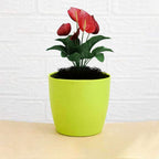 Durable plastic flower pot with a round shape, ideal for indoor and outdoor plants.