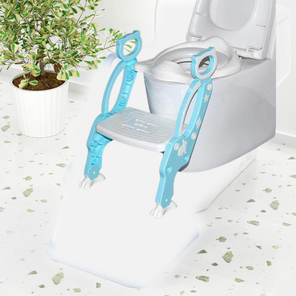 Child using the potty training seat with step stool ladder independently.