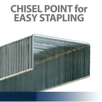 Close-up view of galvanized steel No.10 staples for office staplers