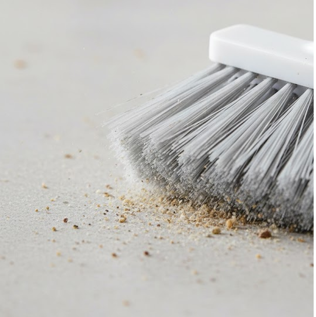 Close-up view of the treated hard fibre bristles of the household cleaning brush.