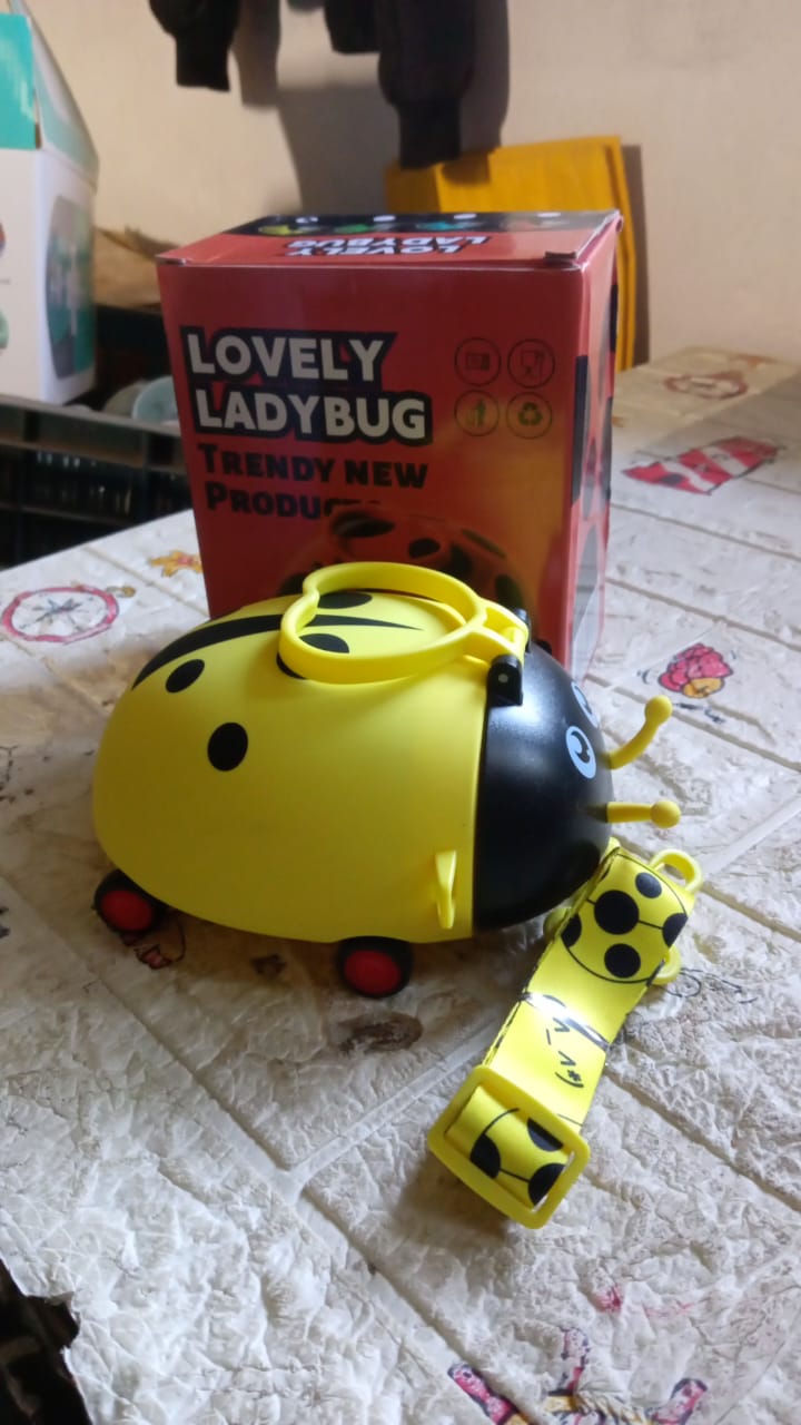 Front view of the adorable bug shaped kids water bottle with an easy-sip straw.