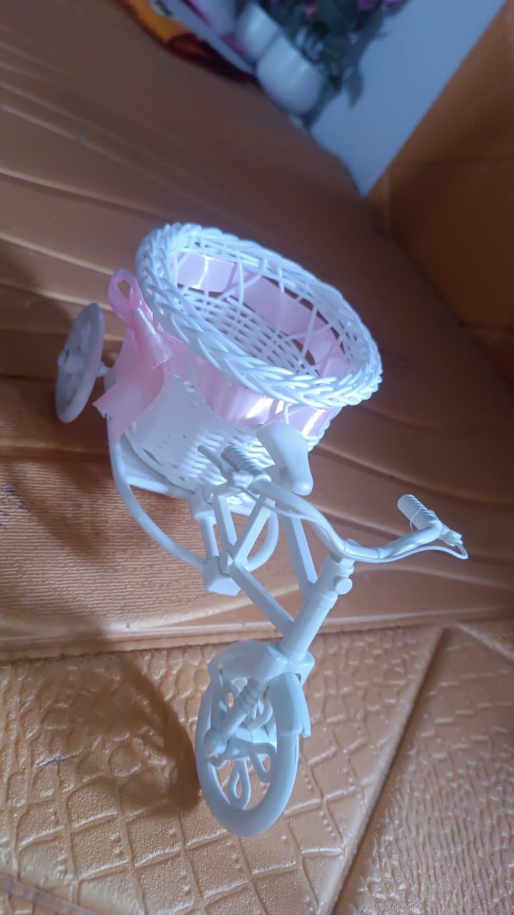 Bicycle plastic flower pot stand displayed in living room setting