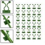 Variety of climbing plants neatly supported by wall plant clips on a white wall.