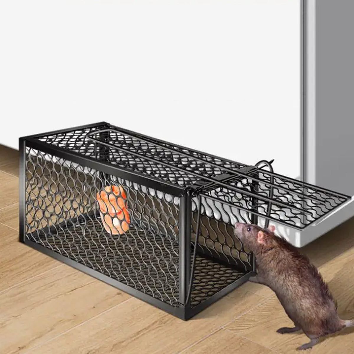 Foldable humane mouse trap cage with door open, ready for bait.