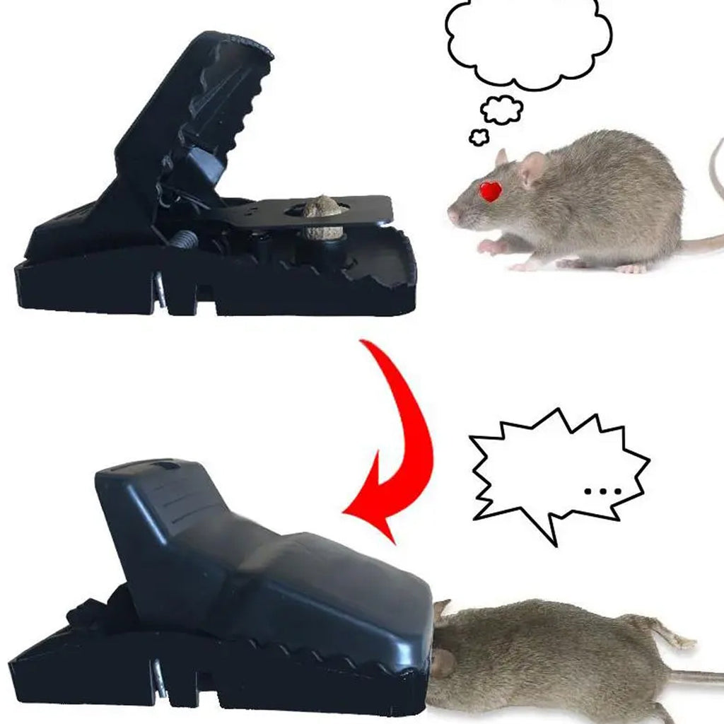 Reusable mouse trap cage with a dummy mouse inside, ready for setup.