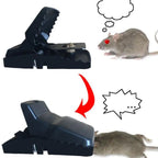 Reusable mouse trap cage with a dummy mouse inside, ready for setup.