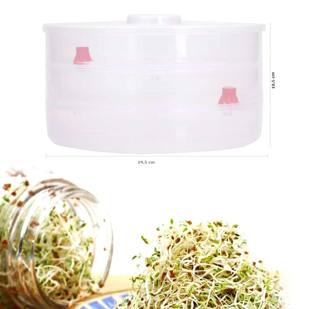 A person demonstrating how to fill the white plastic sprout maker with water for healthy sprouts.