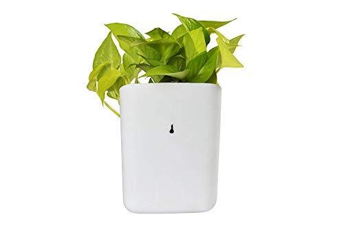 Compact hanging planter pot showcasing its space-saving design for small areas.
