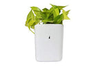 Compact hanging planter pot showcasing its space-saving design for small areas.
