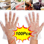Front view of a sealed pack of 100 transparent disposable gloves from Grow Wear.