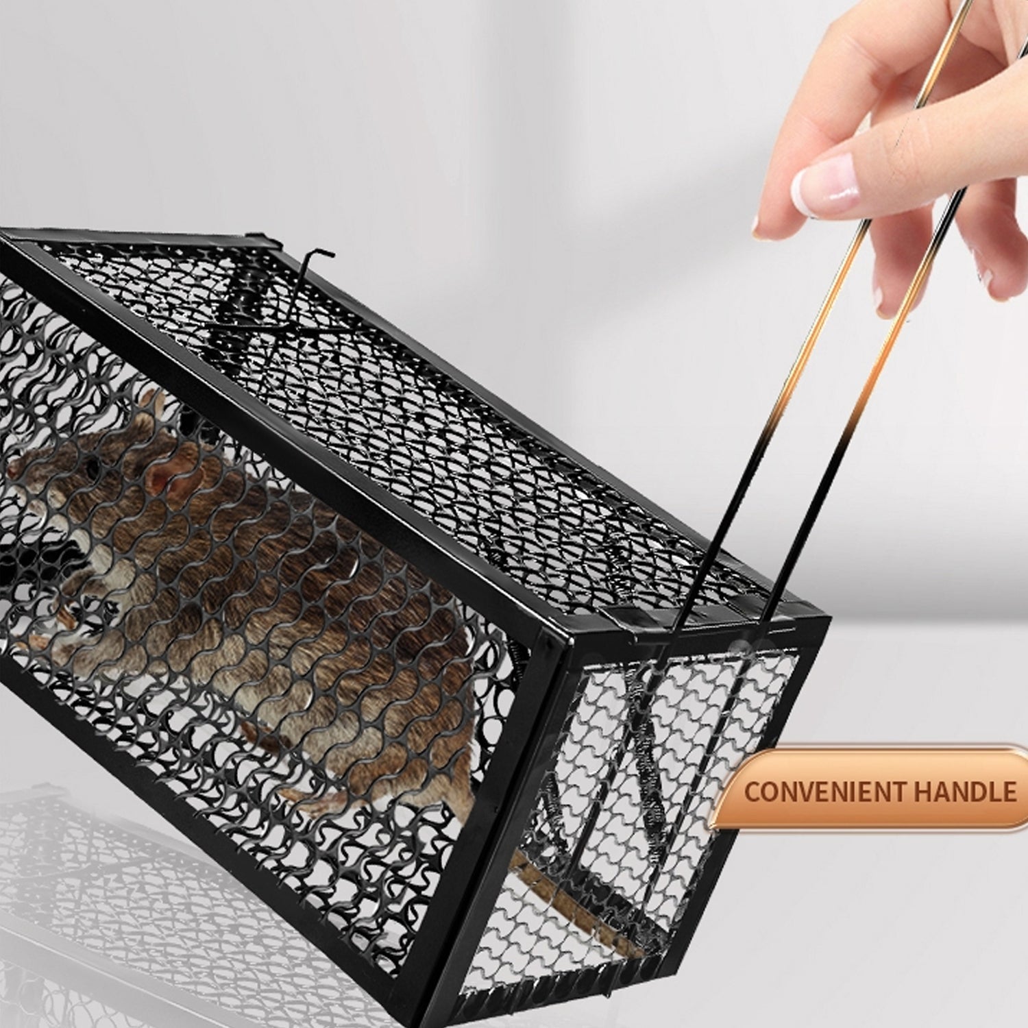 A trapped mouse visible inside the live catch cage, demonstrating humane capture.