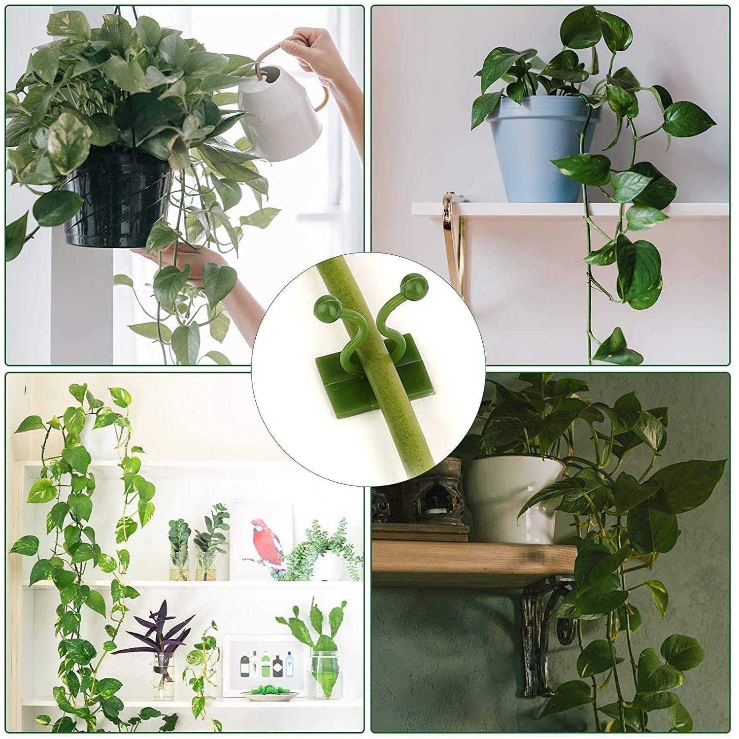 Close-up of a wall plant clip securing a vine, showcasing the twist-lock design.