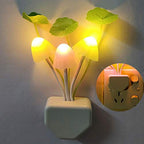 A pair of colorful mushroom night lights providing gentle illumination in a home setting.