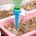 A Tidy Roots self-watering plant spike delivers water directly to plant roots in a pot.