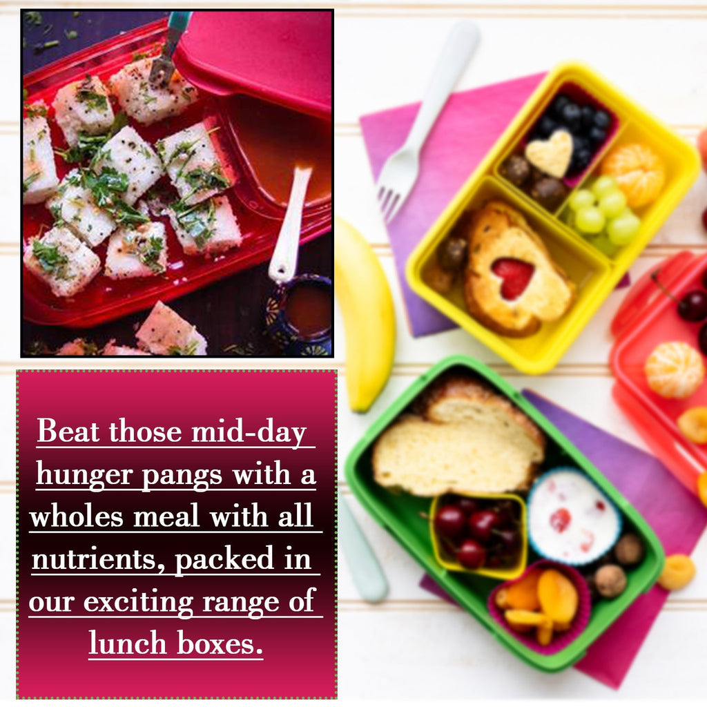 Top-down view of the sealable rectangular lunch box.