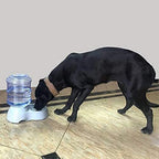 Automatic pet water and food dispenser set in a clean pet area, side view.