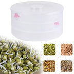 White 3 compartment sprout maker with mung beans inside, ready for sprouting.