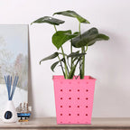 Square dotted railing planter for a single plant, enhancing a modern balcony.