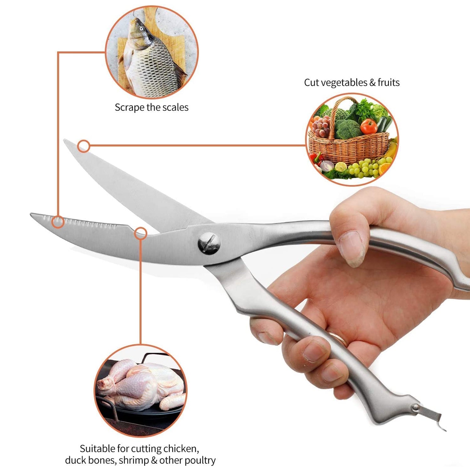 Close-up of stainless steel poultry shears with sharp blades.