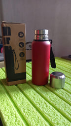 Compact 600ml stainless steel bottle, ideal for gym, office, or travel.