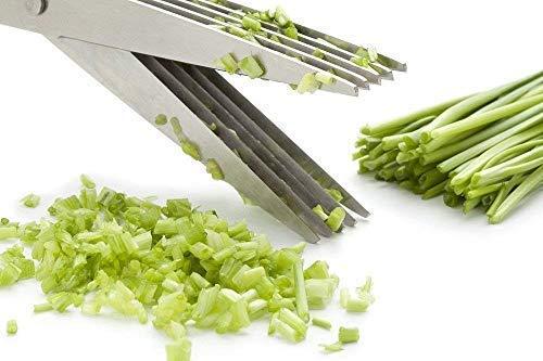 Close-up of multi-blade scissors for vegetables, made of stainless steel